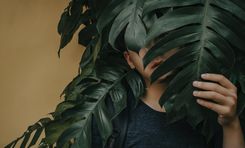 Person obscured by large tropical leaves in a conceptual portrait.